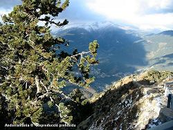 Pic de Carroi Andorra - Pic de Carroi Andorre